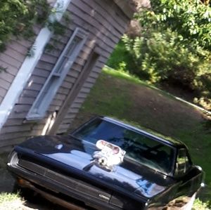 Meet your Posher, William